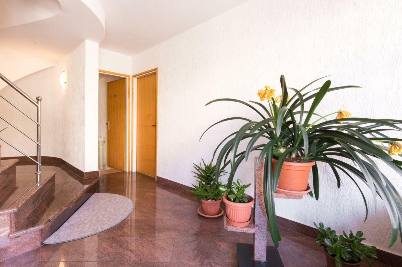 Villa Paradiso Пунат Екстер'єр фото